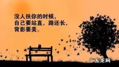 奋斗的句子经典语录长文 【抖音文案】奋斗的短句子经典语录