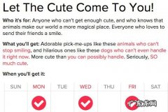 个性化邮件营销三步骤