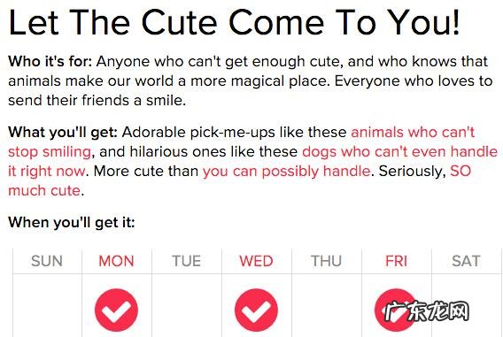 个性化邮件营销三步骤