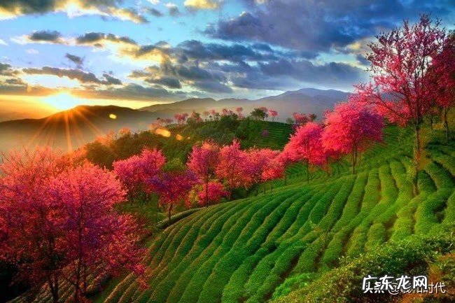 2021年国庆旅游攻略 国庆节去哪里玩比较好