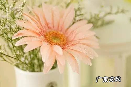 形容红色眼睛唯美句子 【抖音文案】形容眼睛的句子唯美