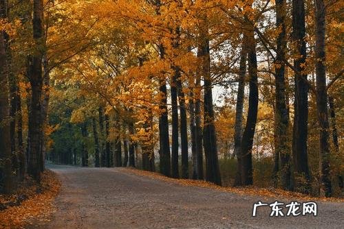 形容金秋九月的优美诗句 【抖音文案】金秋九月十一月怎么形容