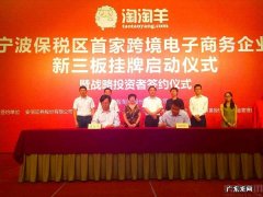 淘淘羊挂牌新三板,成宁波跨境电商首例