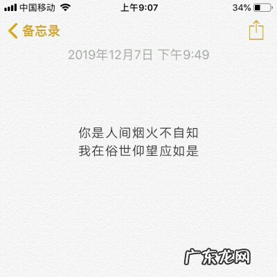 港风文案短句 【抖音文案】关于风的文案短句