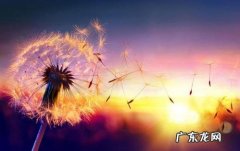 致好友的唯美句子简短 【抖音文案】唯美的句子致自己简短