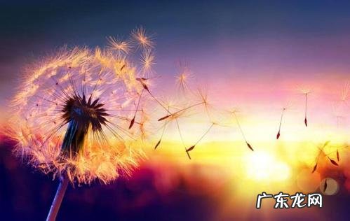 致好友的唯美句子简短 【抖音文案】唯美的句子致自己简短