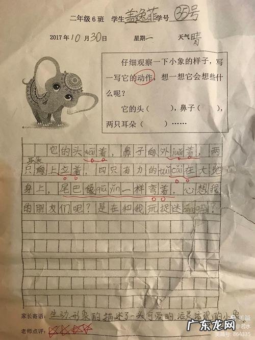 怎么描写眼睛不大不小 【抖音文案】描写眼睛不大不小的句子