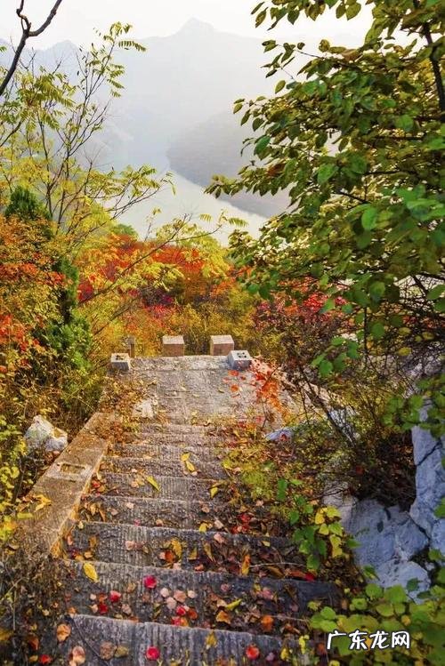 形容心情惬意的诗句 【抖音文案】赏秋的惬意心情诗句