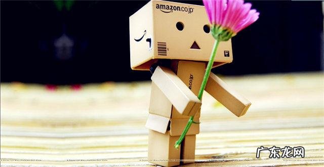 亚马逊日本站FBA费用详解