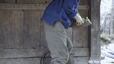 越南网红模仿李子柒:真的太像了,傻傻分不清