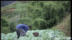 越南网红模仿李子柒：真的太像了，傻傻分不清