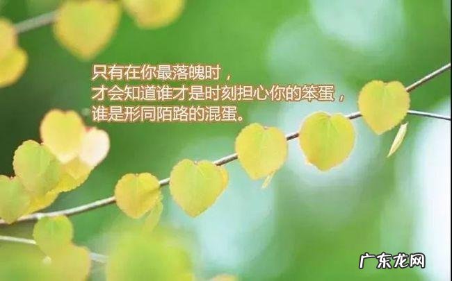 励志的句子经典优美语句摘抄 【抖音文案】经典优美句子摘抄励志