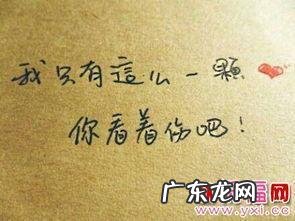 【抖音文案】有关于风与心情的句子