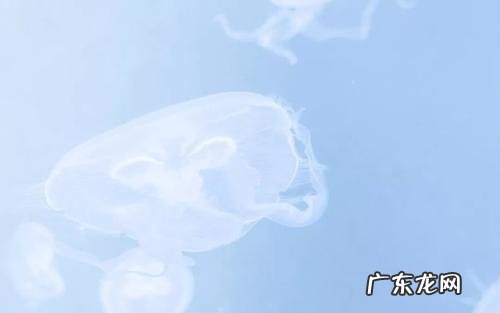 形容天气好的优美句子 【抖音文案】形容蓝色眼睛的优美句子