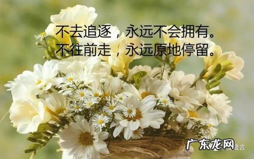 励志的句子经典语句2021 【抖音文案】励志的句子经典语句大全