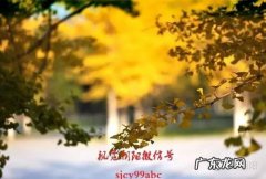 赞美冬天银杏树的唯美句子 【抖音文案】冬天的银杏树唯美说说