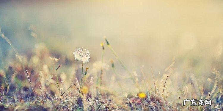 形容心情的句子适合发朋友圈的 【抖音文案】怎样形容心情畅快的句子