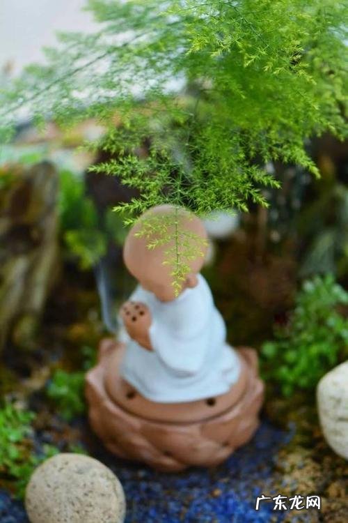 看淡心静积极的句子图片 【抖音文案】看淡心静积极的句子