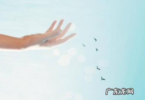 心情好的说说句子短句 【抖音文案】关于心情好的句子短句