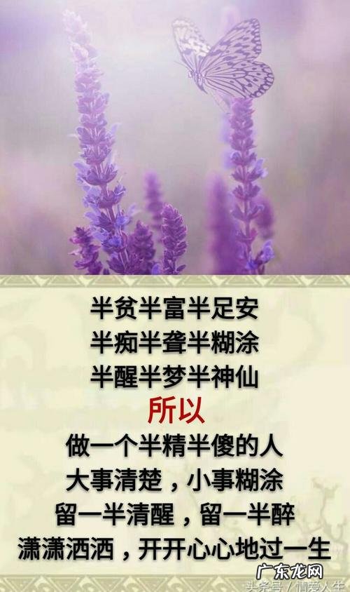 经典美言美句短句 【抖音文案】经典美言美句