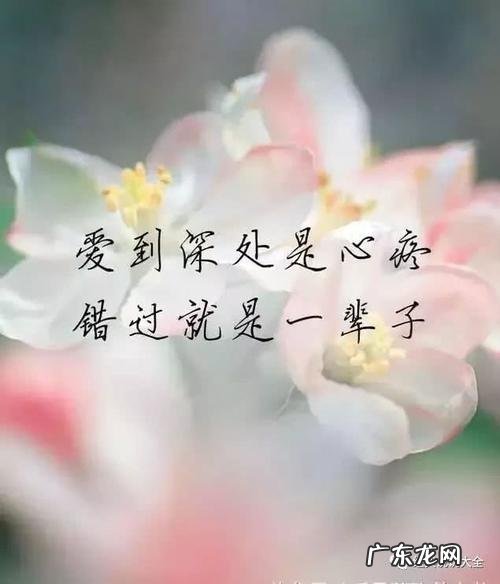 伤感语录扎心短句家庭矛盾 【抖音文案】伤感语录扎心短句