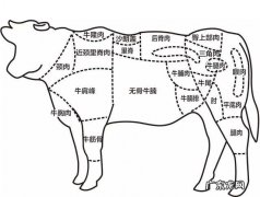 牛身上哪个部位的肉最好吃该怎么做
