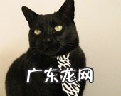 如果想减掉肚子上的赘肉，喝减肥茶管用吗？