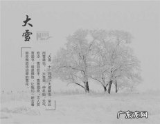 赞美樱花的优美诗句 【抖音文案】赞美风的优美诗句