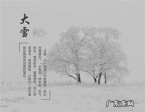 赞美樱花的优美诗句 【抖音文案】赞美风的优美诗句