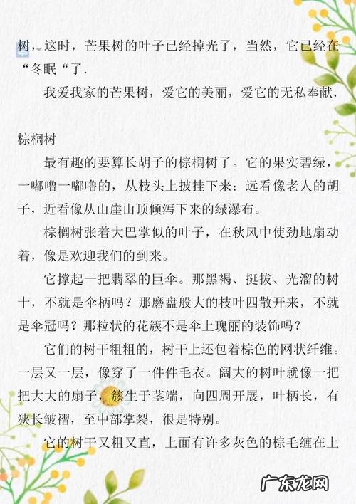 好句子摘抄三年级 【抖音文案】优美的句子摘抄三年级小学生