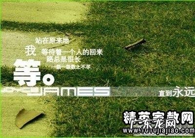 赞美朋友和友谊的句子 【抖音文案】友谊感人的句子