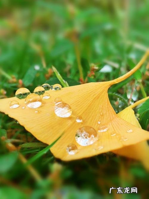 【抖音文案】秋雨入冬的好句子