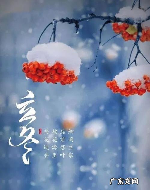 【抖音文案】秋雨入冬的好句子