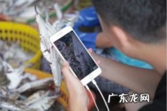 淘宝内部推广工具有哪些？怎么操作？