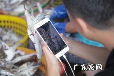 淘宝内部推广工具有哪些？怎么操作？