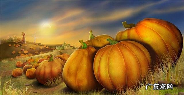 感恩节成为美国第三大网购日