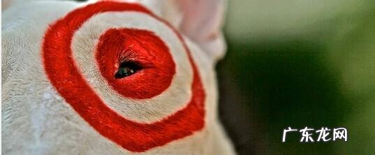 外媒总结黑五超强攻略，看地道美国人怎样正确地买买买！