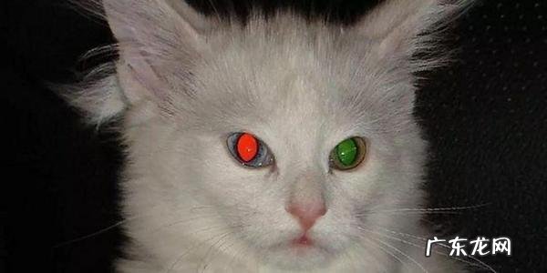 两只眼睛像黑宝石一样 【抖音文案】形容眼睛像黑宝石的句子