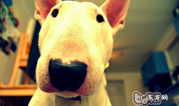 牛头梗的产后调理专业知识