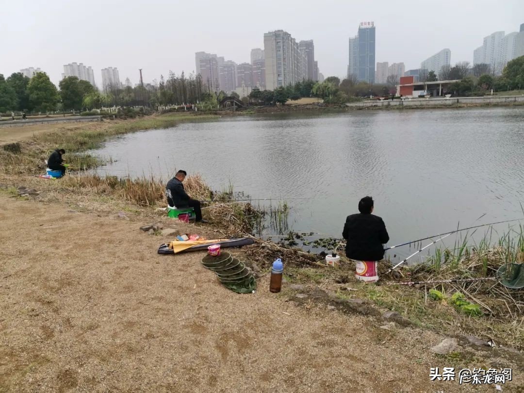 钓鱼人必备渔具清单大全 钓鱼需要哪些工具