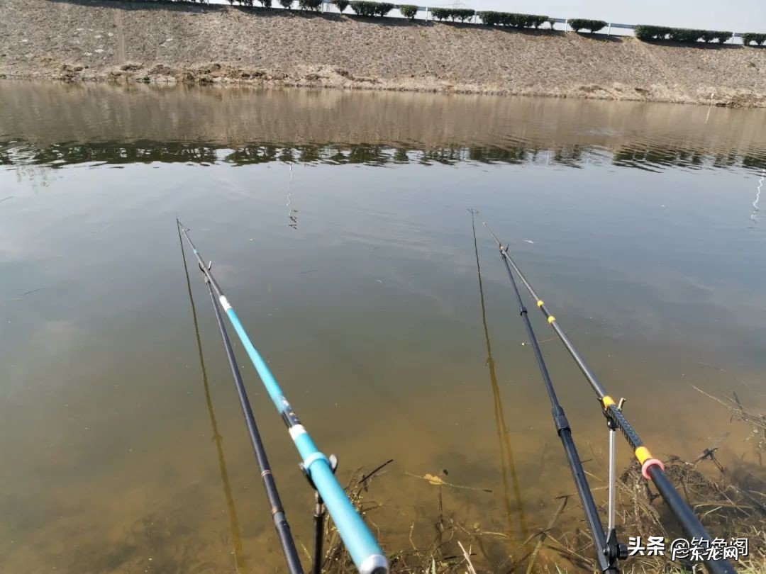 钓鱼人必备渔具清单大全 钓鱼需要哪些工具