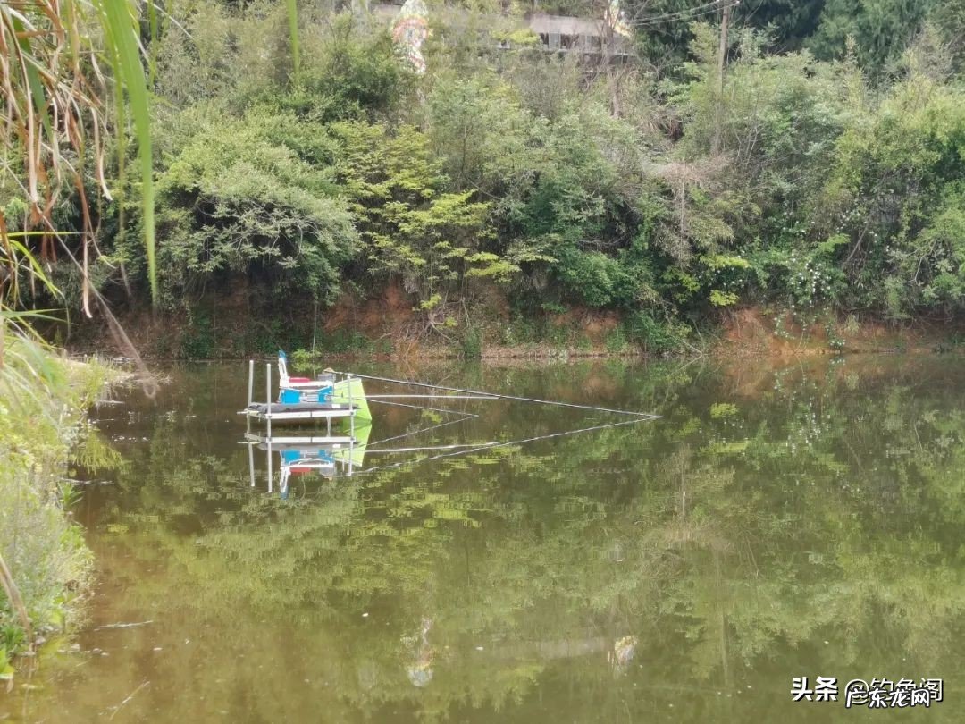 钓鱼人必备渔具清单大全 钓鱼需要哪些工具