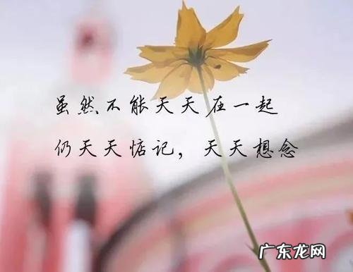 防诈骗简短句子 【抖音文案】简短又好的句子