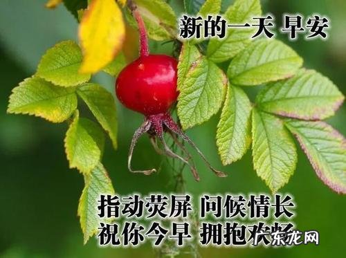 充满阳光早上好的句子 【抖音文案】2021充满阳光的句子