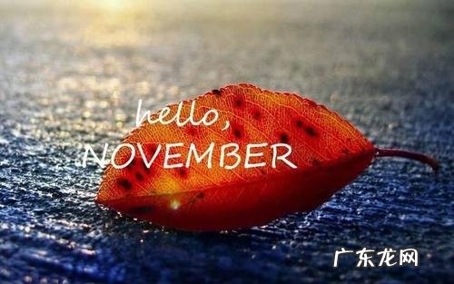 描写十月的句子 优美 【抖音文案】描写十月的句子