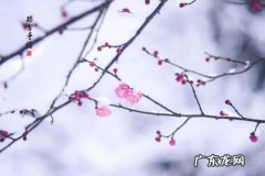 2021下雪发朋友圈唯美短句 【抖音文案】下雪发朋友圈唯美短句