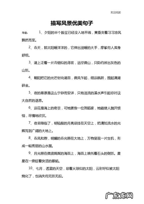 描写荷叶的优美句子 【抖音文案】描写一座城市的优美句子