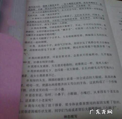 外貌描写的句子大全100字 【抖音文案】外貌描写的句子大全