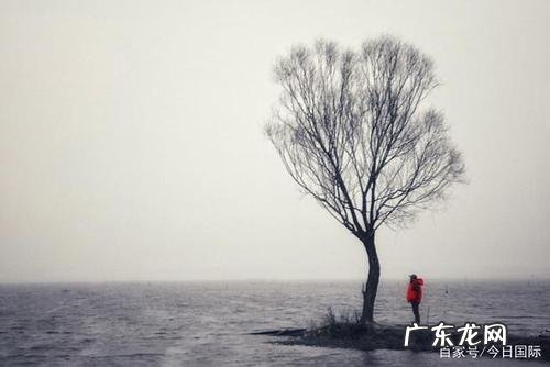 一个人孤独的哲理句子说说心情 【抖音文案】一个人孤独的哲理句子