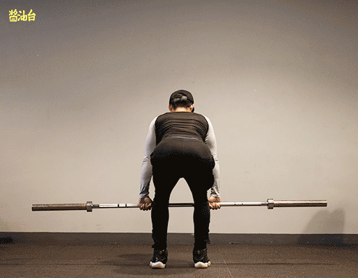 如何标准地完成杠铃划船和单臂哑铃划船？